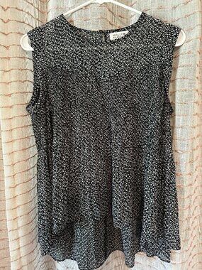 Sheer Sleeveless top